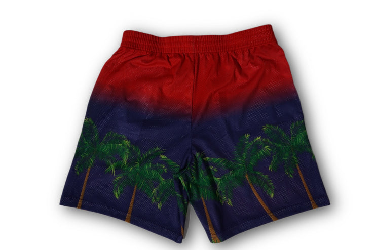 Typhoon KDM Mesh Shorts